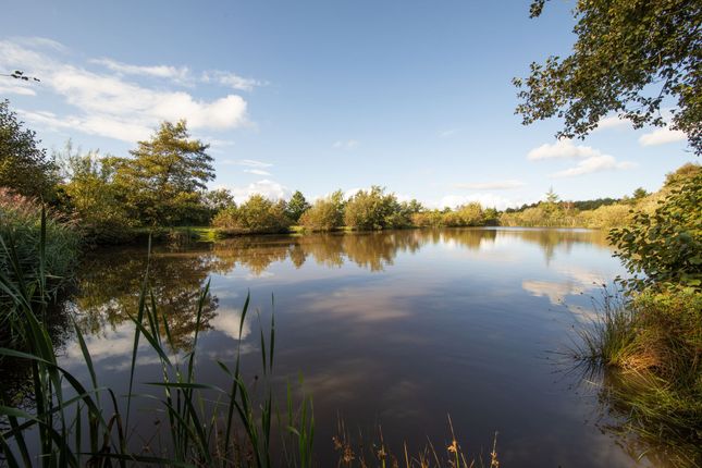 Chapmans Well, Burnhope Road... 4 bed farm house for sale