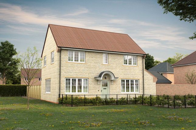 Plot 232, The Buckland at Oriel... 3 bed detached house for sale