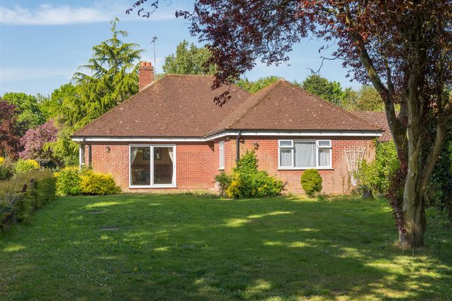 Millfield Wood, Millwood Road, Polstead 2 bed detached bungalow for sale