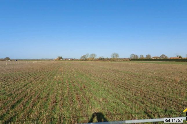 Equestrian Land, Stickford... Land for sale