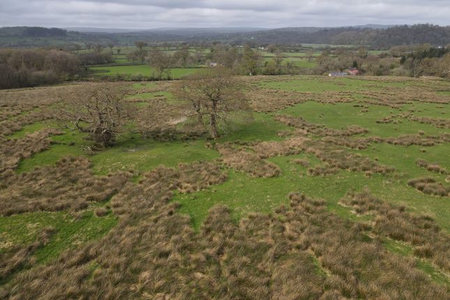 Golden Grove, Carmarthen, SA32 Smallholding for sale