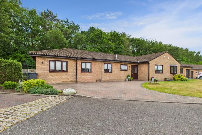 Richmond Avenue, Grappenhall, Warrington 4 bed semi