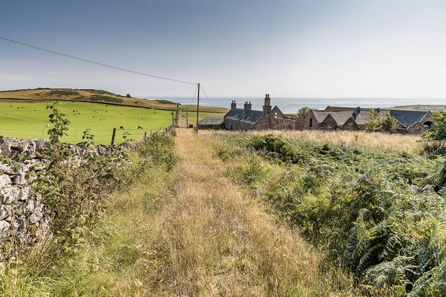 Culgower Steading, Loth, Helmsdale... Land for sale
