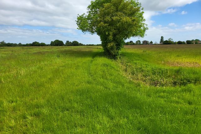 Woodgates End, Broxted CM6 Land for sale