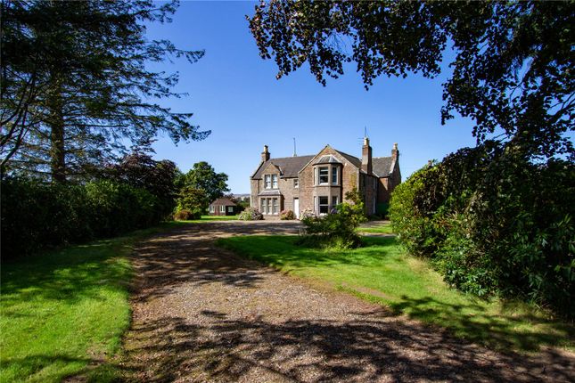 5 bed detached house