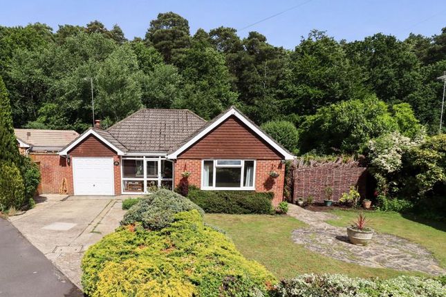 Ramsay Road, Windlesham GU20 3 bed bungalow for sale