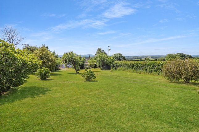 Iddesleigh, Winkleigh, Devon, EX19 4 bed detached house for sale