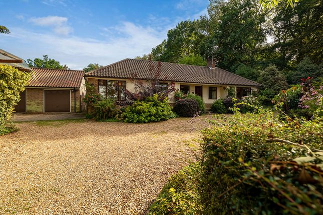 Holly Hill Lane Sarisbury Green... 4 bed detached bungalow for sale