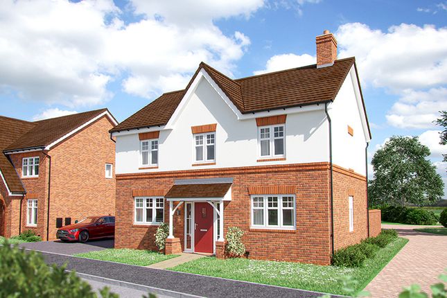 Plot 147, The Chestnut at St James... 4 bed detached house for sale