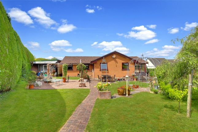 Eskil Place, Great Torrington, Devon... 4 bed bungalow for sale