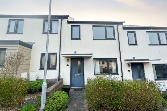 Meadowsweet Lane, Paignton 2 bed terraced house for sale