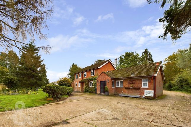 Diss Road, Scole, Diss 5 bed detached house for sale