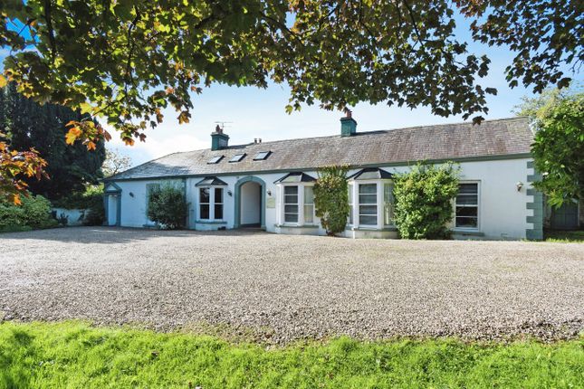 Balnamore Road, Ballymoney BT53 8 bed link detached house for sale