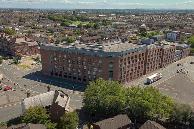 1 bed flat