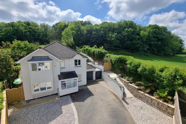 Park Wood Rise, Lifton 4 bed house for sale