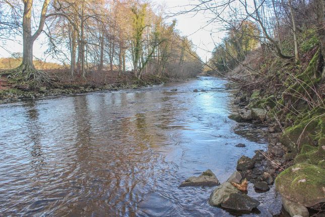 Fishing Rights to the North of... Farm land for sale