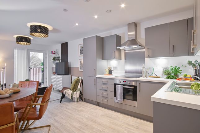 1 bed flat