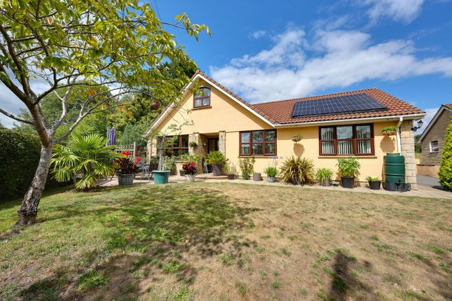 Publow Lane, Bristol BS39 5 bed detached bungalow for sale