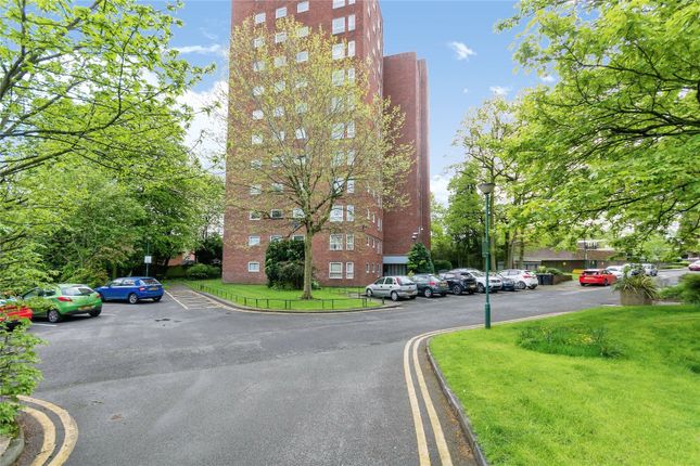 1 bed flat