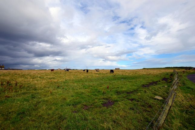 Development land at Broadhaven, Wick Land for sale