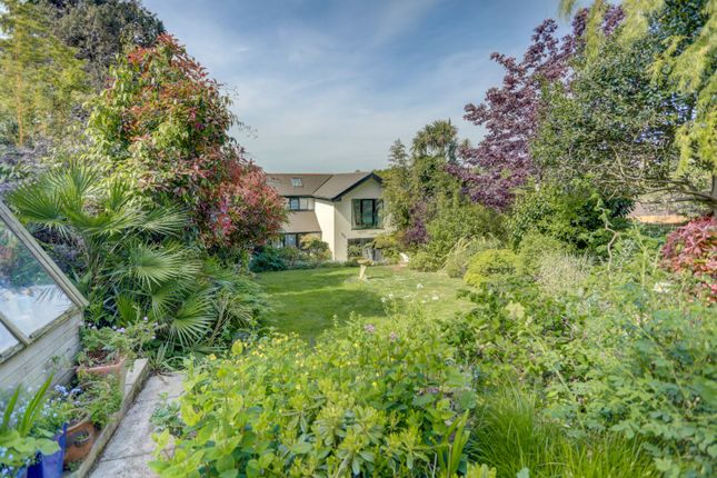 Hill Brow, Hove, Hove, BN3 4 bed detached house for sale
