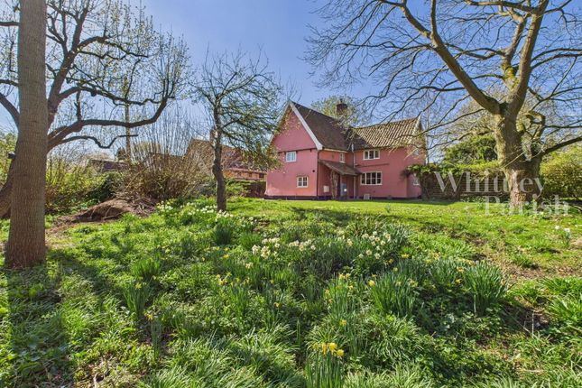 Denmark Hill, Palgrave 3 bed cottage for sale