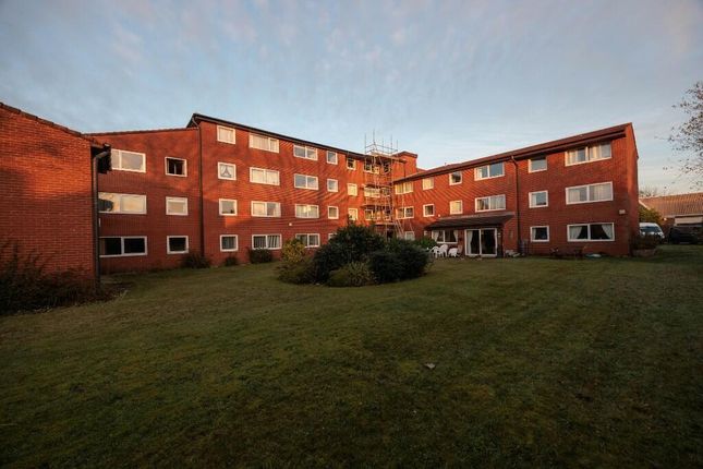1 bed flat