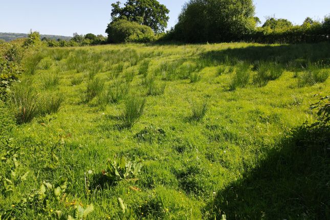 Gurrey Bank, Llandeilo, SA19 Smallholding for sale