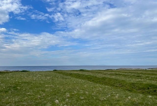 Plot for sale