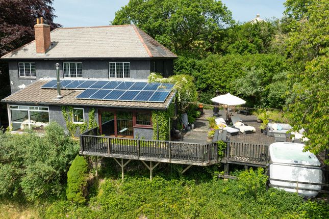 Maeseithyn, Llandyfriog, Newcastle... 4 bed detached house for sale
