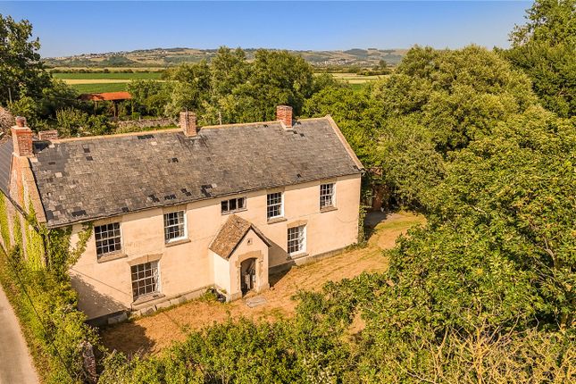 Equestrian facility for sale