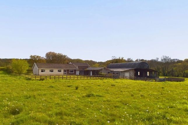 Capel Dewi, Carmarthen 4 bed property with land for sale