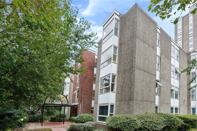 1 bed flat