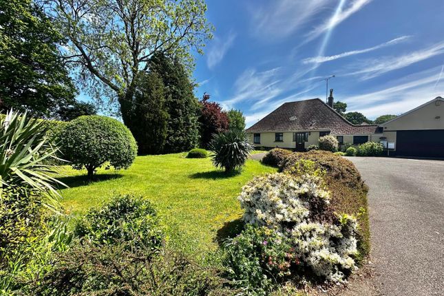 Blundells Road, Tiverton EX16 3 bed detached bungalow for sale