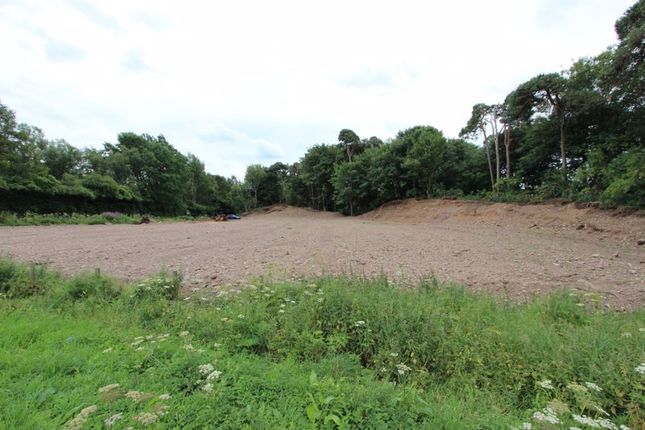 Collessie House Plots Land for sale
