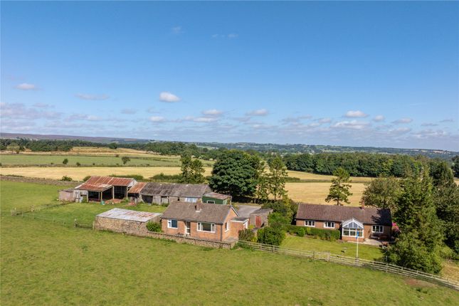 West Hill Edge Farm, Galphay, Ripon... 5 bed bungalow for sale