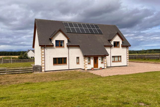 7 bed detached house