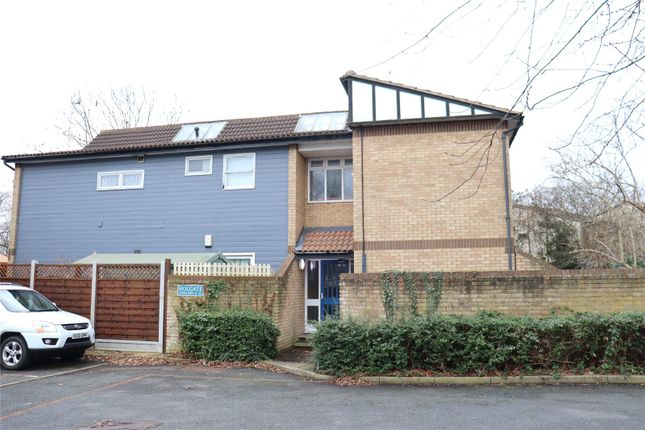 1 bed flat