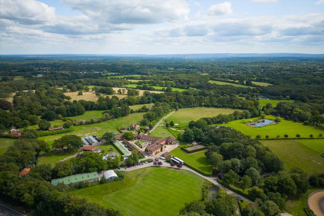 The Twelve Oaks Estate, Woodlands... House for sale