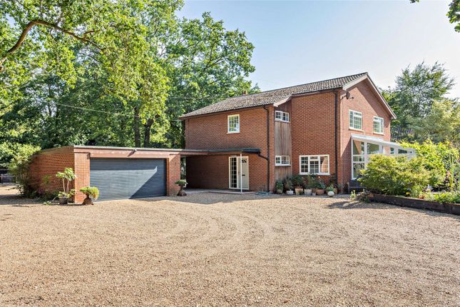 Woodcock Road, Wretham, Thetford... 4 bed equestrian property for sale