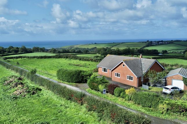 Llanon 3 bed property with land for sale