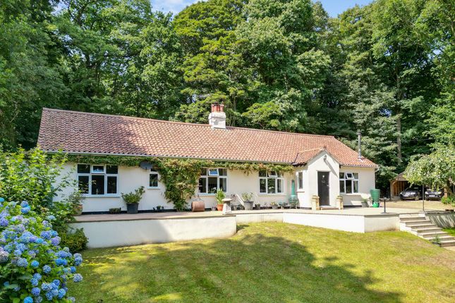 Hall Road, Cromer, NR27 3 bed detached bungalow for sale