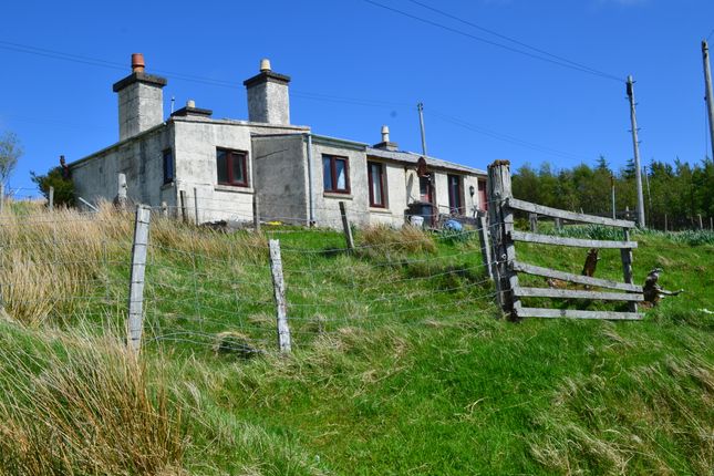1 bed bungalow