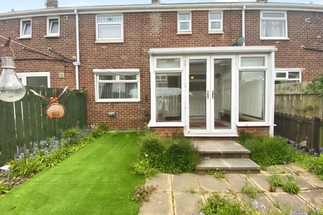 Napier Street 3 bed terraced house for sale