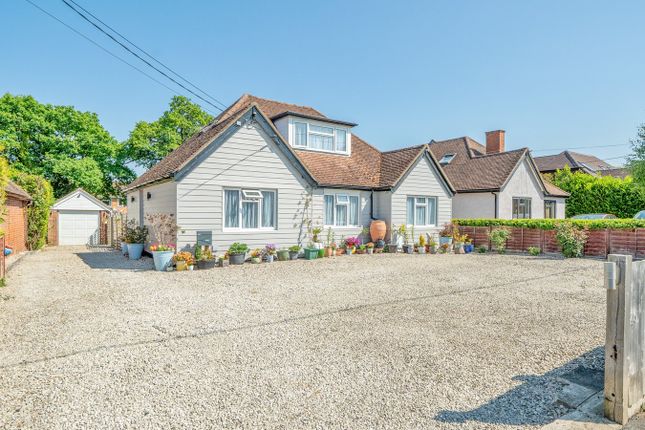 Windsor Road, Bordon GU35 5 bed detached bungalow for sale