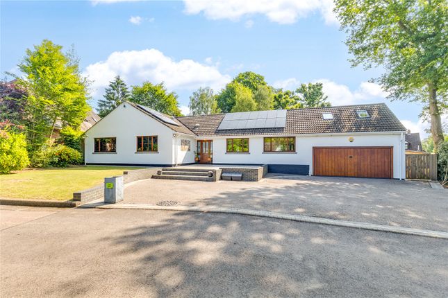 Briary Wood Lane, Mardley Heath... 4 bed bungalow for sale
