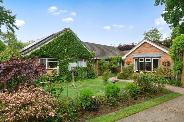 Chapel Gardens, Hampshire GU35 5 bed bungalow for sale