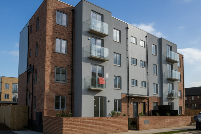 1 bed flat