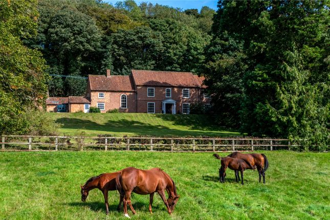 The Grove, Scamblesby, Louth... 4 bed equestrian property for sale