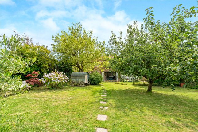 Wartling Road, Wartling, Hailsham... 4 bed semi
